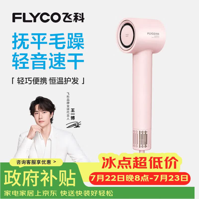 飞科（FLYCO）高速电吹风机节日礼物家用宿舍便携速干恒温负离子护发大风力吹风筒FH6370