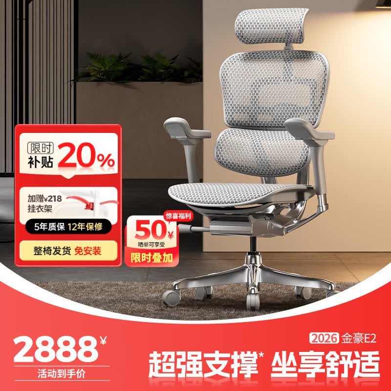 Ergonor保友金豪E2高端人体工学椅 超强支撑办公椅电脑椅游戏电竞椅子 银白色