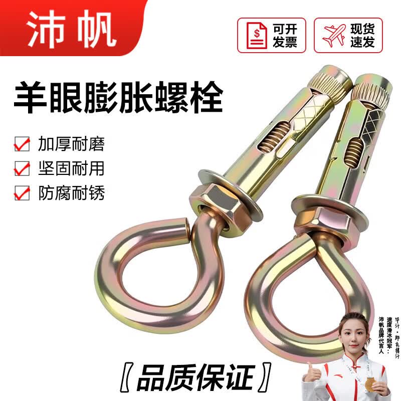 沛帆镀锌羊眼吊环内膨胀螺丝 拉爆膨胀螺栓 沙袋秋千吊顶固定吊环胀栓 M10*80（20个）