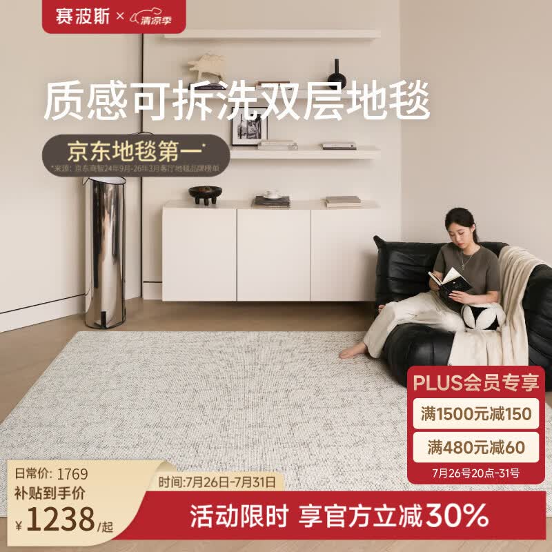赛波斯雾影可拆洗双层客厅意式极简可机洗地垫卧室2026新款 雾影（可拆洗） 200cm*290cm （毯面+11mm毯底）