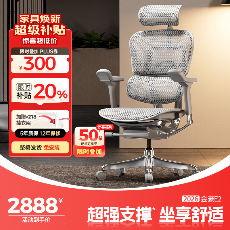 Ergonor保友金豪E2高端人体工学椅 超强支撑办公椅电脑椅游戏电竞椅子 银白色