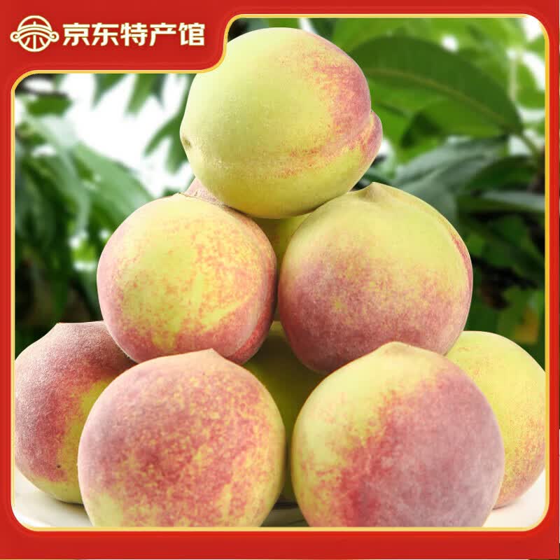 京氿生山东青州蜜桃脆甜桃子秋毛桃青色硬桃子小冬桃当季新鲜水果包邮 精选【4.5斤】单果95g+