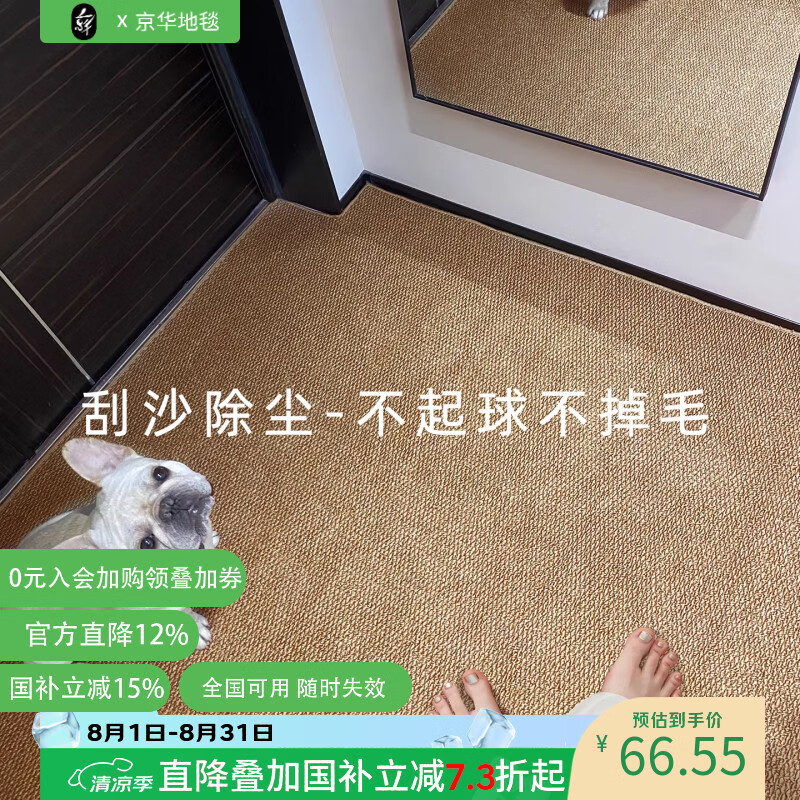 京华仿剑麻入户地垫防滑地毯家用门口进门吸水脚垫可裁剪机洗轻奢高级 藤雾灰 60cm*90cm 可机洗