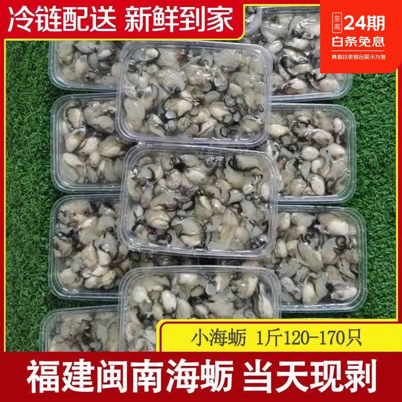 快递冷运福建小海蛎现剥无泡水牡蛎海蛎生蚝肉新鲜发货蚝烙蚵仔煎 2000g-每斤含150克左右原浆液-介意勿拍 京东折扣/优惠券