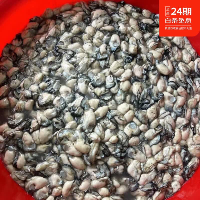 3斤福建新鲜小海蛎肉鲜活现剥去壳牡蛎蚵仔煎蚝仔烙生蚝肉海蛎子