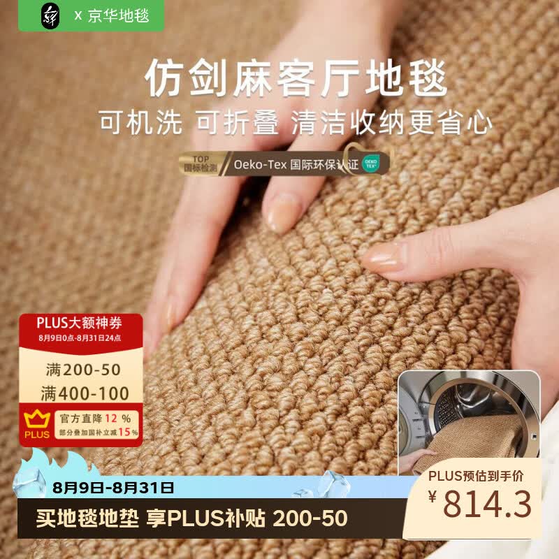 京华可机洗仿剑麻地毯客厅2026新款轻奢高级感极简风卧室家用可擦垫子 琥珀棕 200*340CM(适合中小户型客厅) 京东折扣/优惠券