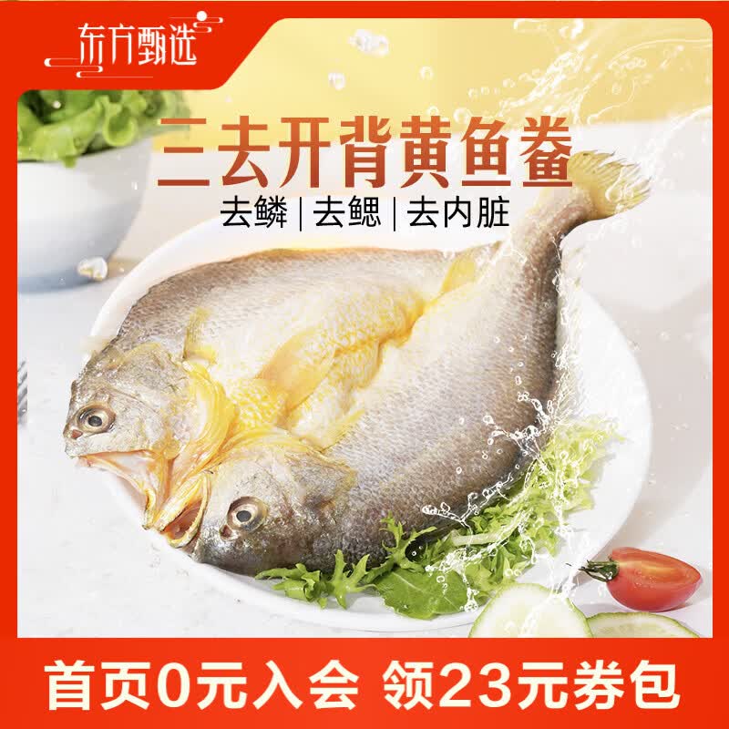 东方甄选黄鱼鲞福建宁德三去大黄鱼半成品冷冻鱼生鲜海鲜黄鱼黄花鱼年货 【到手5条】黄鱼鲞1.3Kg*1袋 1.3kg