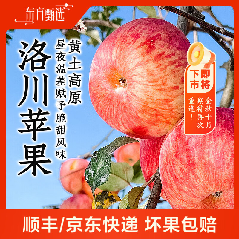 东方甄选洛川苹果水果新鲜当季整箱时令生鲜脆甜多汁4斤-8.5装过年年货 5斤(中果200g+ 8-12个)