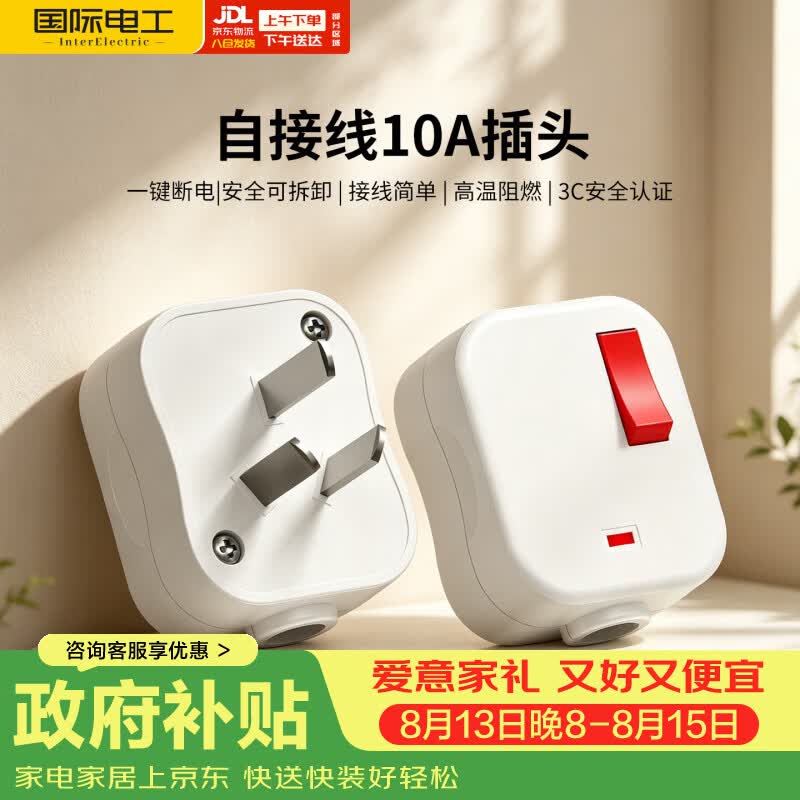 国际电工（FDD）可拆卸自接线一键断电三脚插头 白色【带开关插头】赠螺丝刀*1只