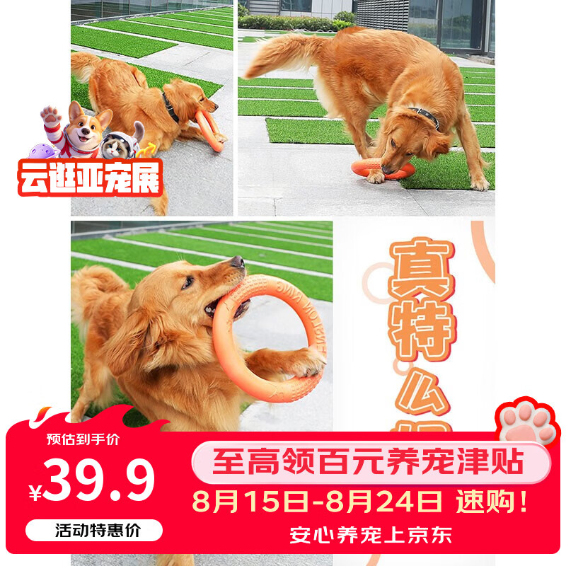 宠物玩具大测评+加养狗2周年感悟！（多图）