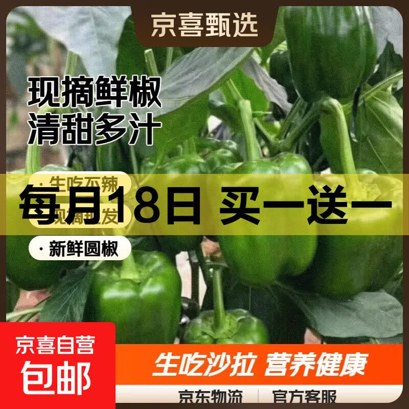 山东新鲜圆椒净重1.8斤买1送1到手共3.6斤 6.45元 - 线报酷