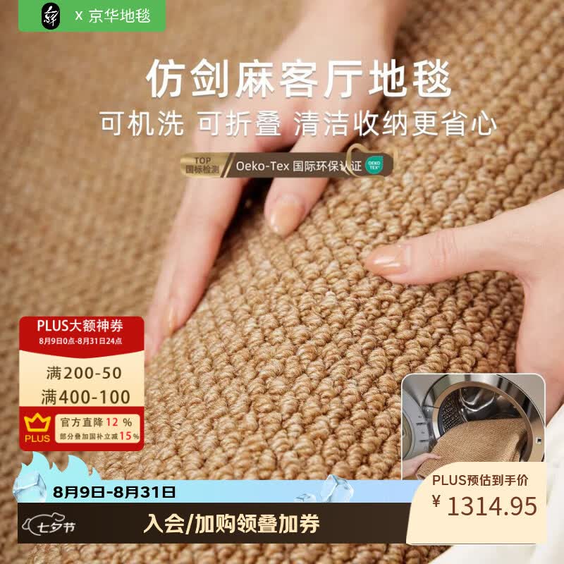 京华可机洗仿剑麻地毯客厅2026新款轻奢高级感极简风卧室家用可擦垫子 皎月白 300*400CM（适合中大户型客厅）