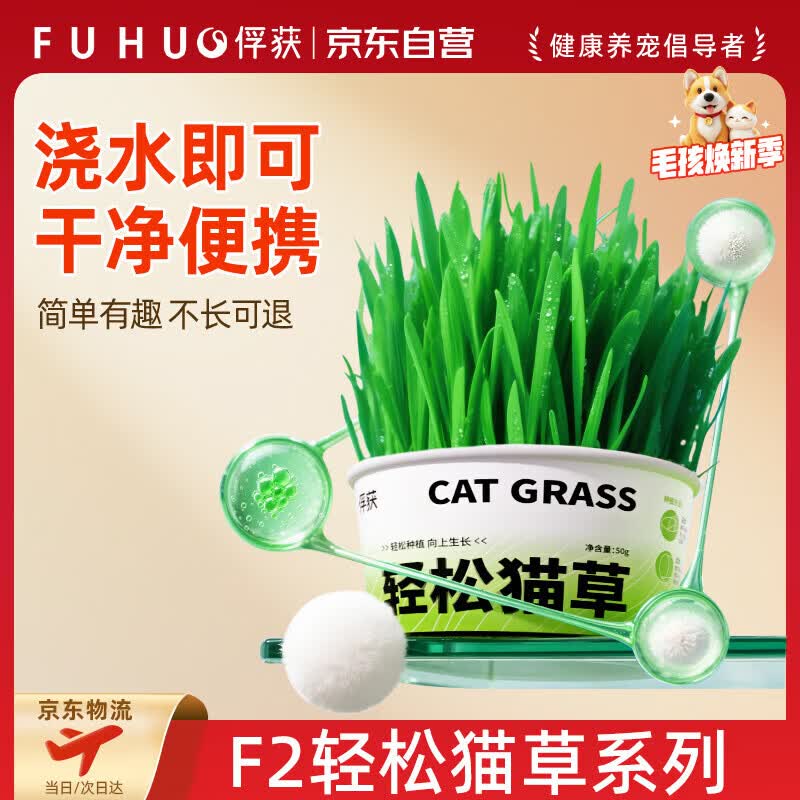 俘获F2轻松猫草盆栽猫咪懒人猫草种草子罐头助排小猫幼猫成猫毛球1盒