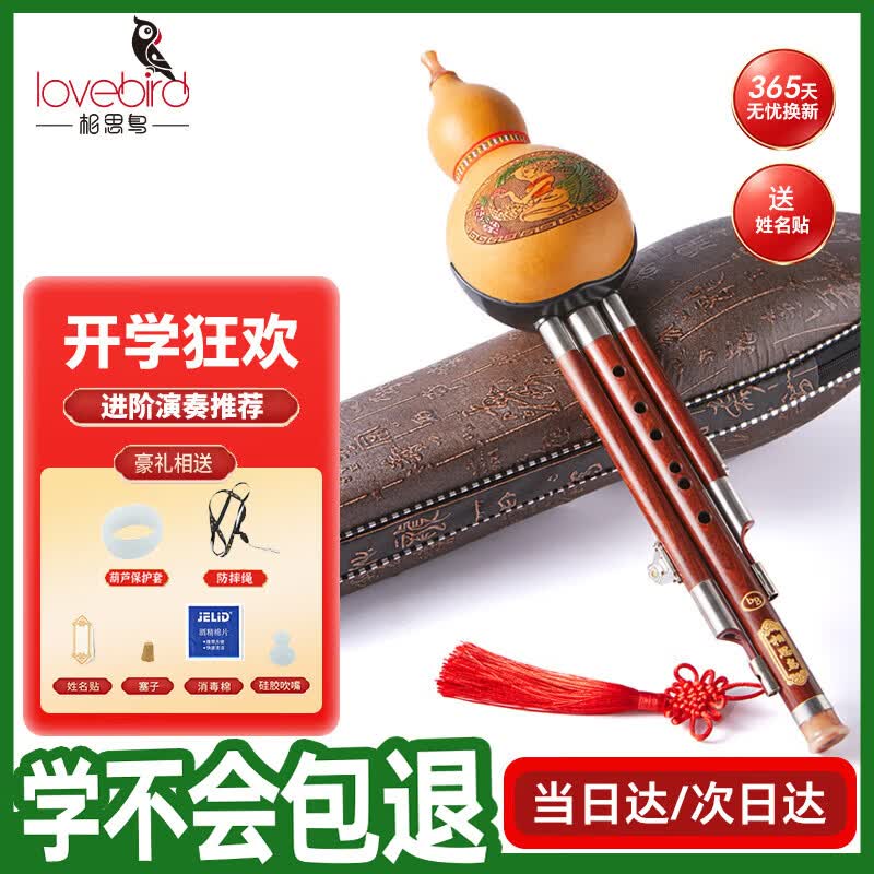 相思鸟 葫芦丝乐器 三音降B调 白铜红木梅花扣葫芦丝防摔 降b调初学