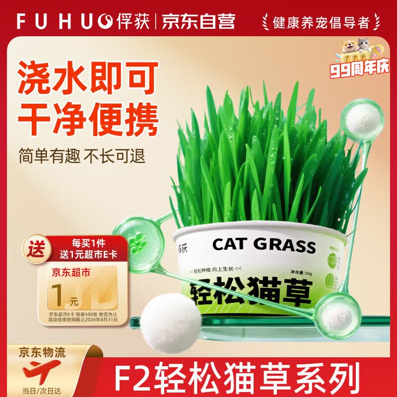 俘获F2轻松猫草盆栽猫咪懒人猫草种草子罐头助排小猫幼猫成猫毛球1盒