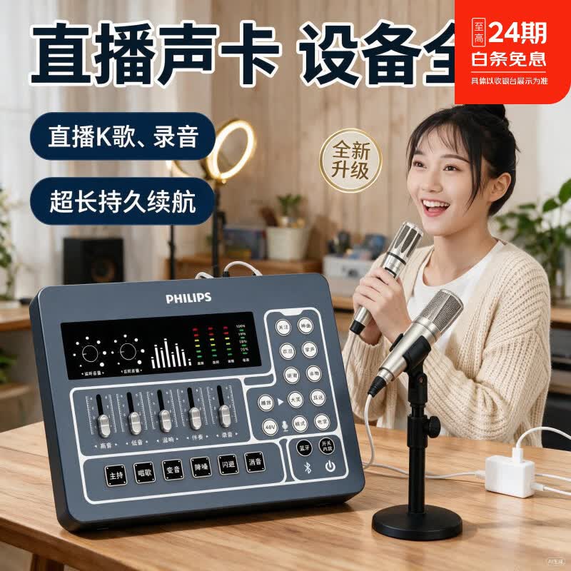飞利浦（PHILIPS）3031C声卡 手机平板电脑直播专业声卡麦克套装设备 主播直播唱歌录音户内外便携套装即插即用  3031声卡标配
