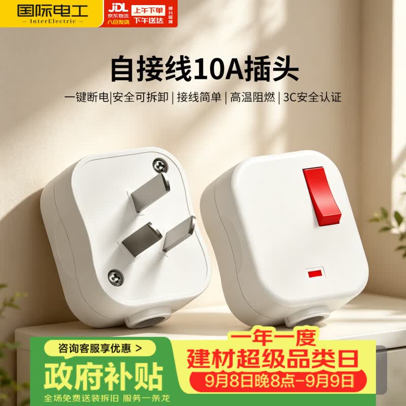 国际电工（FDD）可拆卸自接线一键断电三脚插头 白色【带开关插头】赠螺丝刀*1只