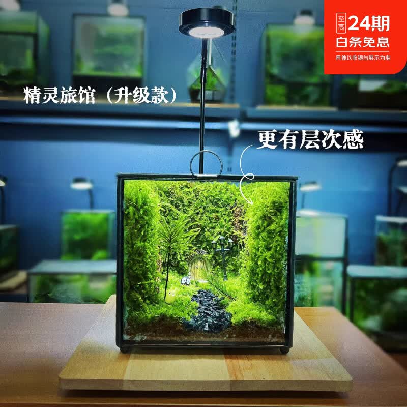 封茗网红趣味桌面绿植摆件苔藓微景观生态缸懒人养护生态闷养盒创意 精灵旅馆】升级版+植物灯
