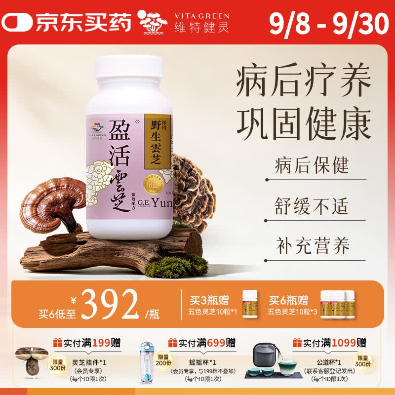 维特健灵 盈活云芝胶囊盈活康放化疗术后营养保健品增强免疫力60粒/瓶