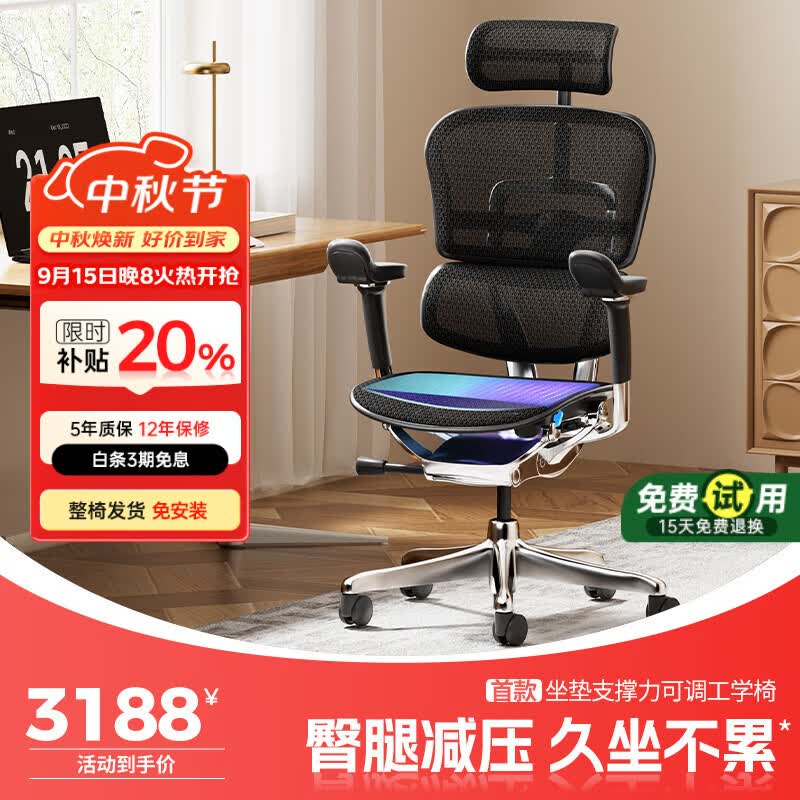 Ergonor保友金豪E2 Pro旗舰人体工学椅 办公椅电脑椅 黑色网