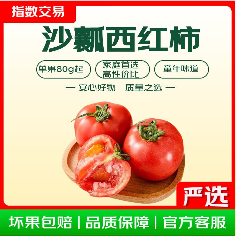 新鲜现摘沙瓤西红柿 囤货装带箱5斤净重 4.5斤 单果约80g
