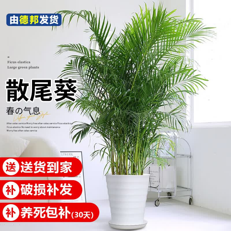 清风丝柔花萃抽纸18包 17.32元 - 折送网