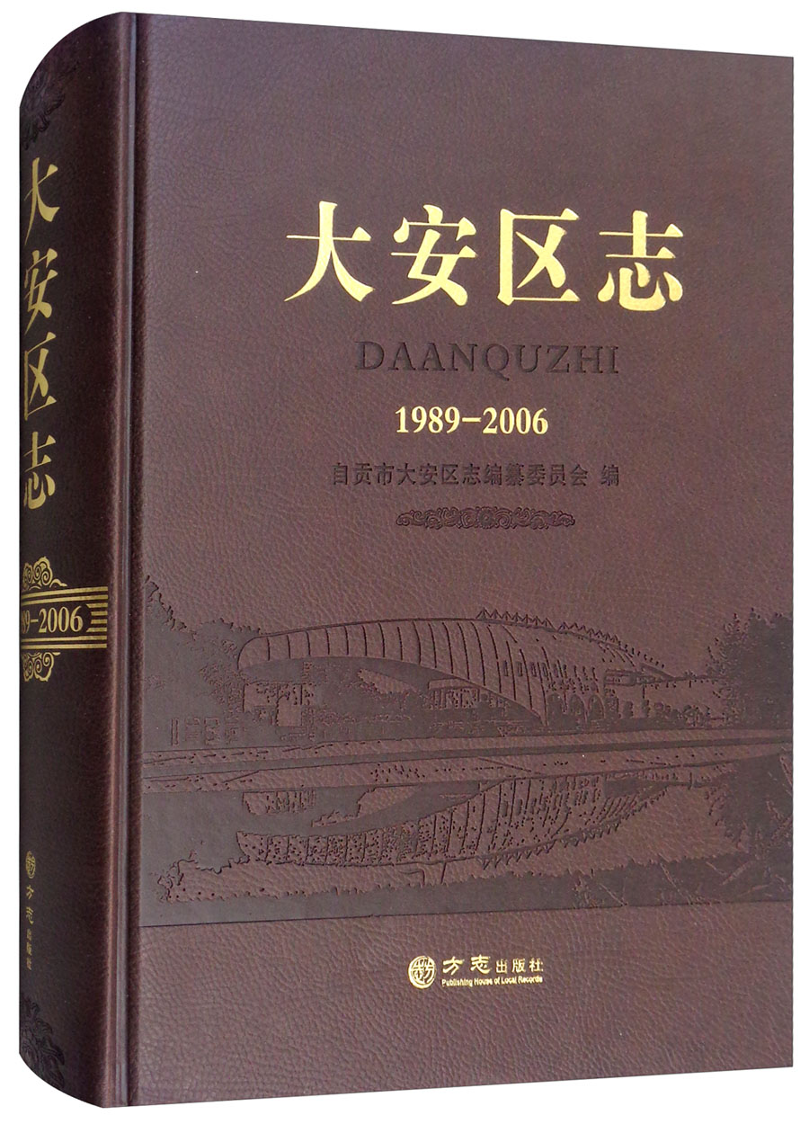 大安区志（1989-2006）