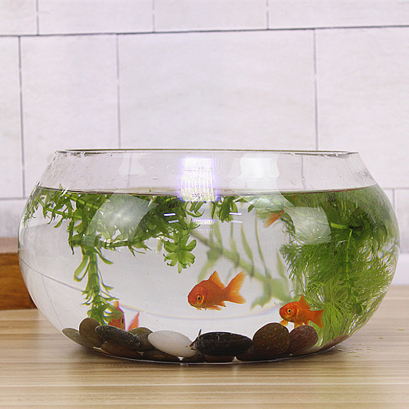 宝贝故事小鱼缸好不好优缺点实情?良心评测