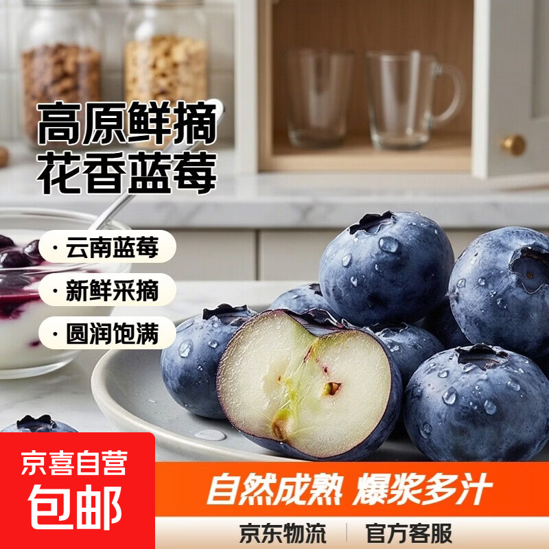 正宗云南高原新鲜采摘蓝莓新鲜水果孕妇宝宝辅食花香蓝莓90-115g 蓝莓小果单果15mm+ 高原蓝莓尝鲜90-115g*1盒装