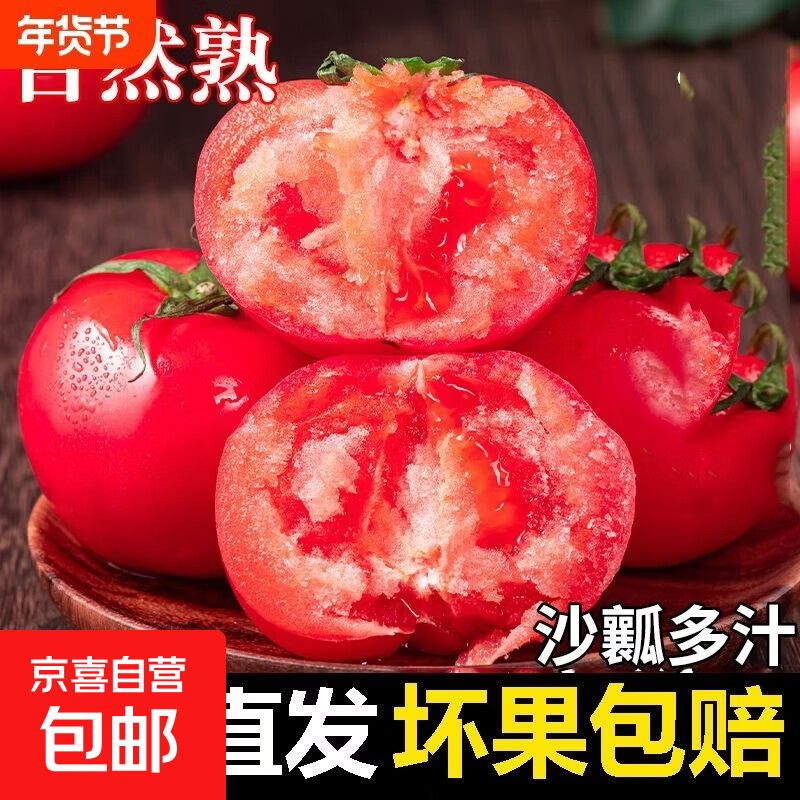 现摘老农亲挑山东农家西红柿自然熟新鲜沙瓤大番茄单果60g+ （带箱5斤） 4.5斤 净重 【实惠经济实惠装】