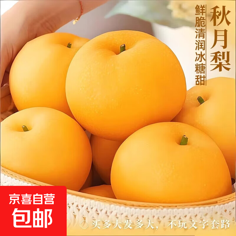 秋月梨冰糖雪梨新鲜水果4斤新鲜水果正宗原产地现摘发货送礼 带箱4斤250g+净重3.6斤