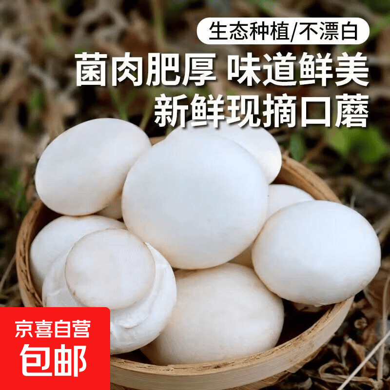 【6折】新鲜口蘑产地直发无硫无公害低脂高纤炒菜煲汤火锅坏果包赔放心拍 新鲜口蘑现摘现发 带箱1000g（净重500g）https://u.jd.com/FrM3ofa----普遍有货 | 下1件最优到手单价：10.97 -> 【6.98】