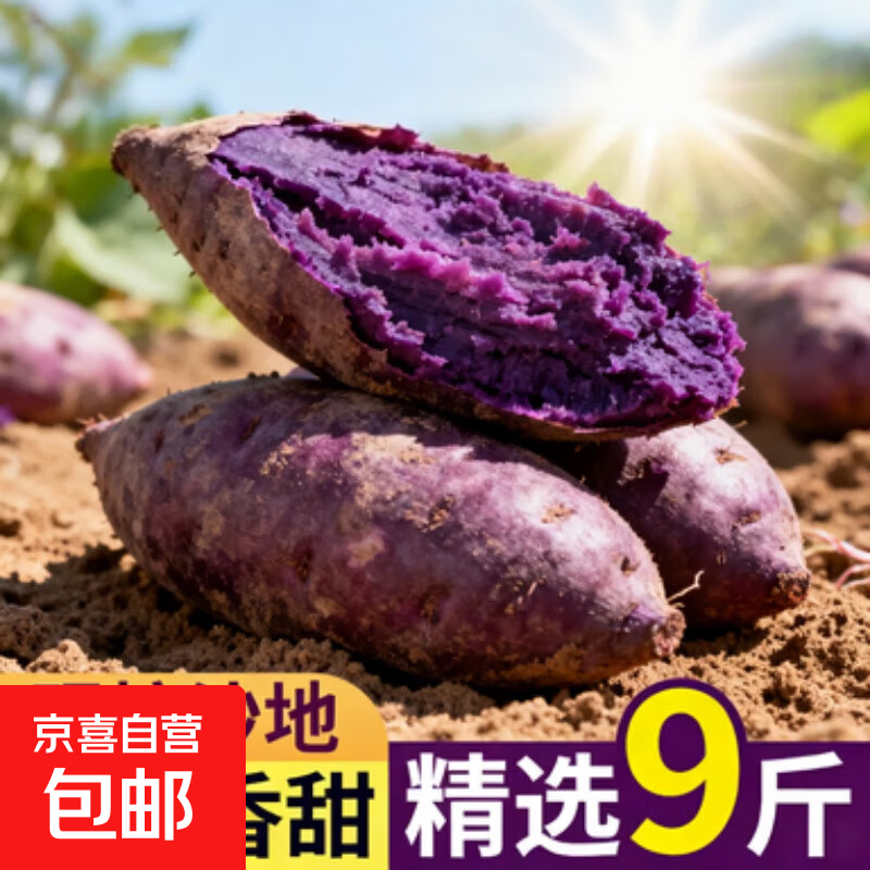 紫薯新鲜板栗红薯番薯山芋烟薯香薯蔬菜农家自种地瓜蜜薯糖心9斤 带箱1斤 小果