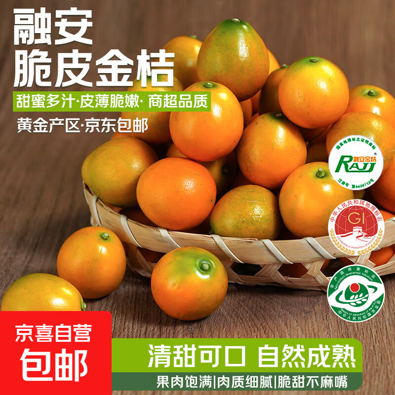 广西脆皮金桔当季新鲜水果融安柑橘蜜滑皮金柑年货送礼物产地直发 【6号果】净重1斤（尝鲜装）