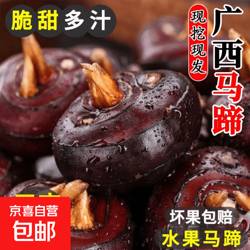 广西荔浦新鲜马蹄水果荸荠生鲜京东包邮应季水果带泥马蹄-沐驰 荔浦马蹄5斤装（新鲜带泥）
