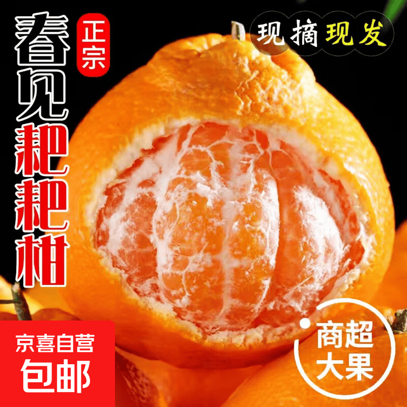 正宗四川春见耙耙柑新鲜时令当季水果甜橘子整箱丑柑桔年货包邮 【带箱特大果1斤】纯甜爆汁 鲜嫩爽口