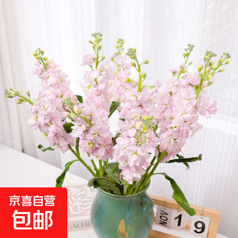 ר���������л������ʻ�ֱ�� ����ɫ������10֦ 9.9Ԫ