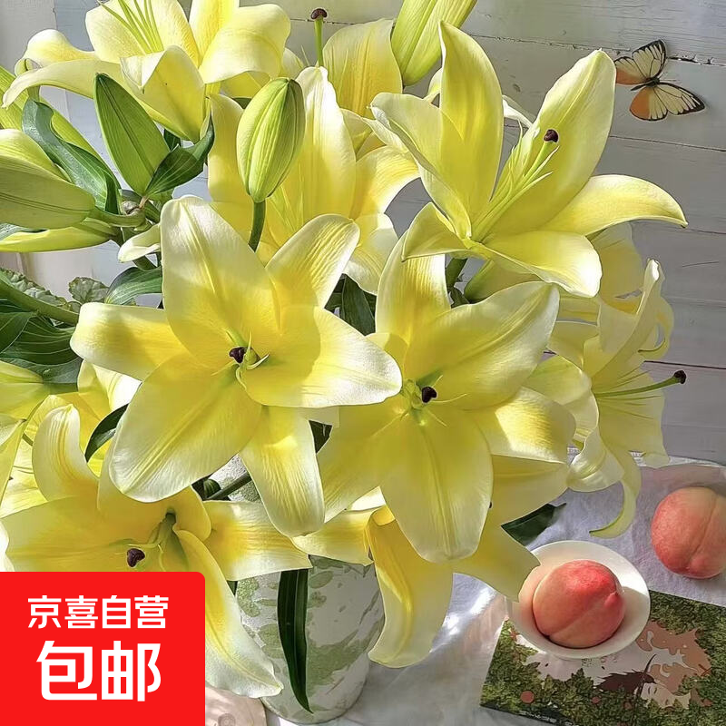 香水百合鲜切花有香味水养水培室内瓶插广州直发新鲜采摘春节元宵 黄色百合8朵（随机品种发货）