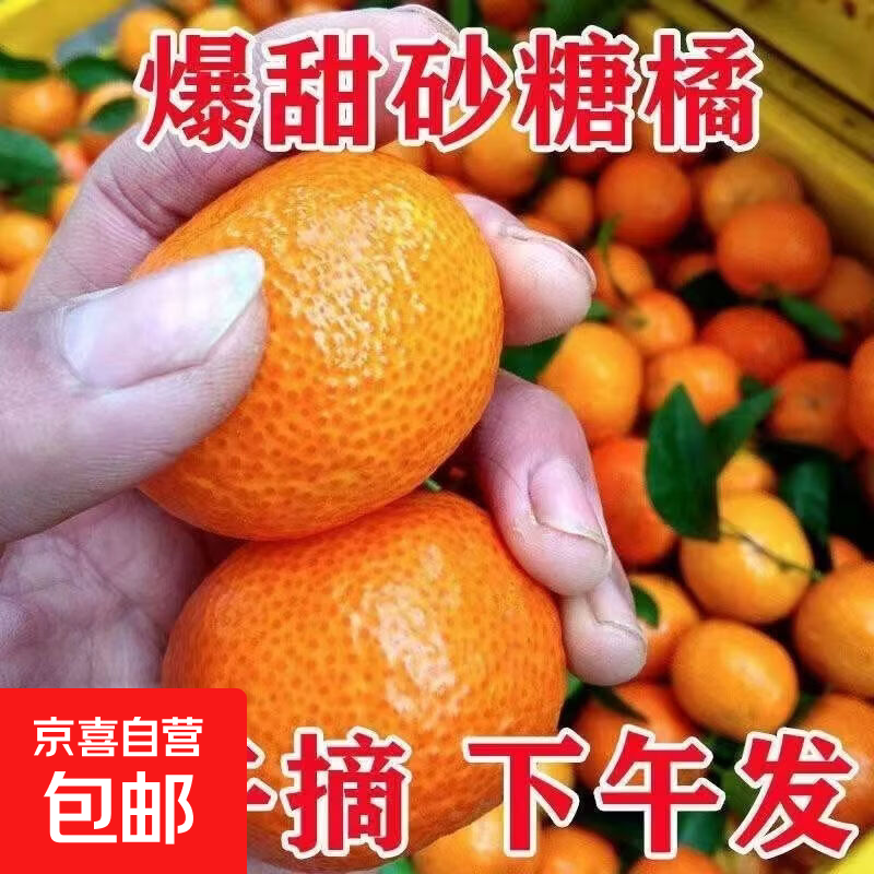 【产地直发】正宗广西沙糖桔 当季新鲜薄皮小橘子 甘甜多汁 沙糖桔带箱9斤（净重8.5斤）