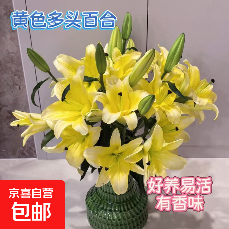 香水百合鲜切花有香味水养水培室内瓶插广州直发新鲜采摘春节元宵 黄色百合16朵（随机品种发货）