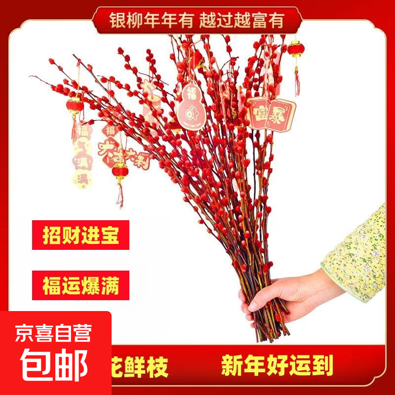 银柳真花鲜枝干花摆件室内客厅鲜花绿植新年年宵花卉植物过年春节 60厘米【10支】送挂件