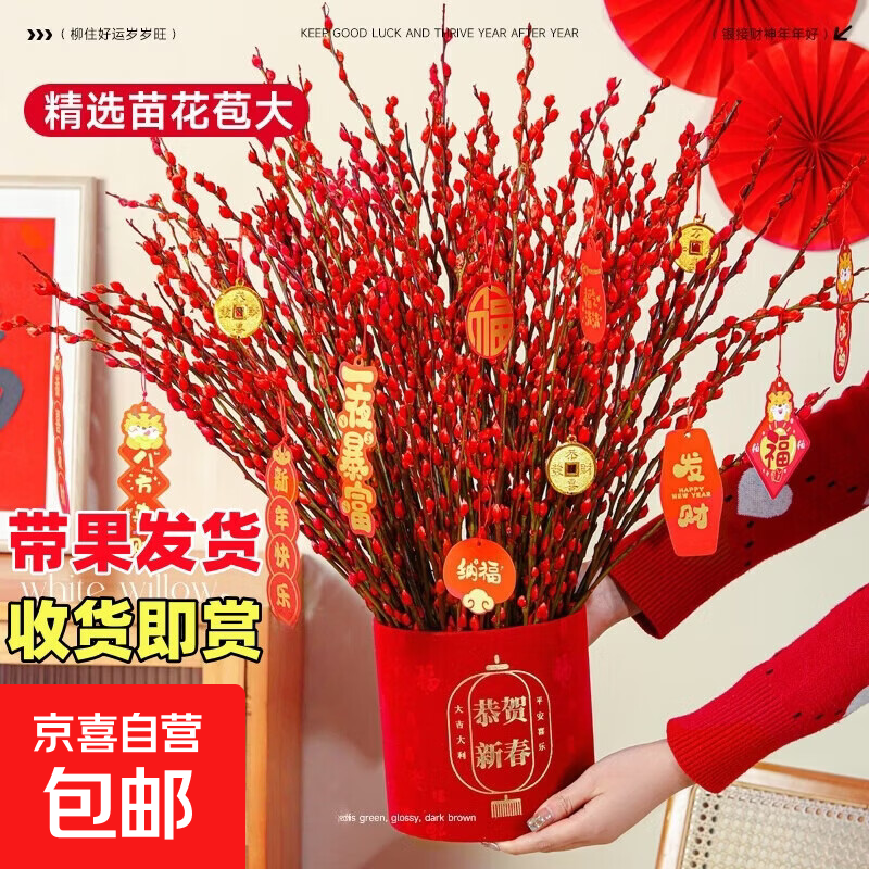 银柳真花鲜枝干花摆件室内客厅鲜花绿植新年年宵花卉植物过年春节 60厘米【30支】送灯笼