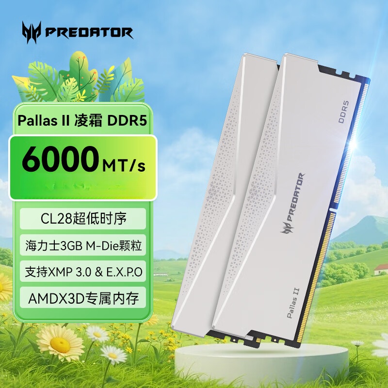 宏碁掠夺者（PREDATOR）DDR5 台式机内存条 PALLAS II凌霜系列 台式机电脑配件  6000频率 C28 Mdie凌霜银 48GB 2条套条 24*2