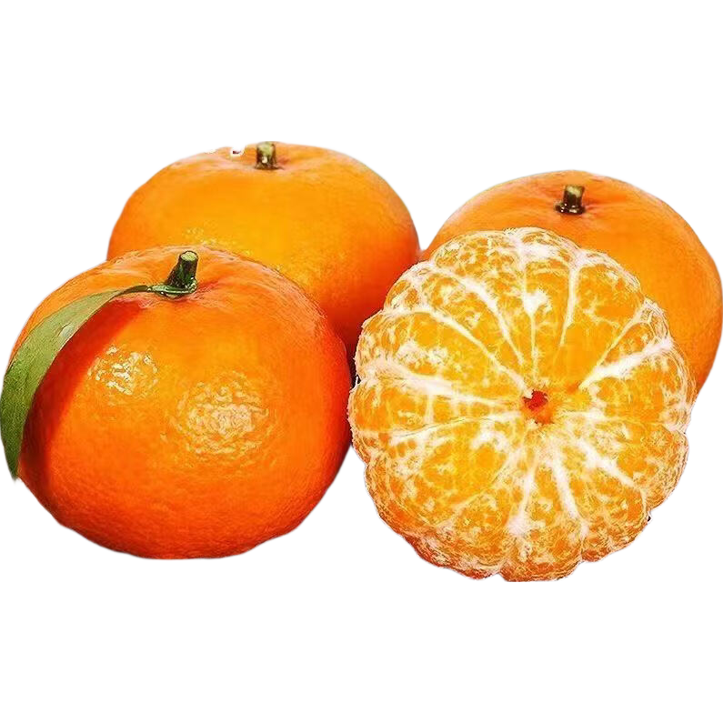 ���ڲ�������ϲ �����ָ� �ش��70-80mm 8�ﾻ�� 9.5���� ��ԭ����ֱ�� 18.8Ԫ