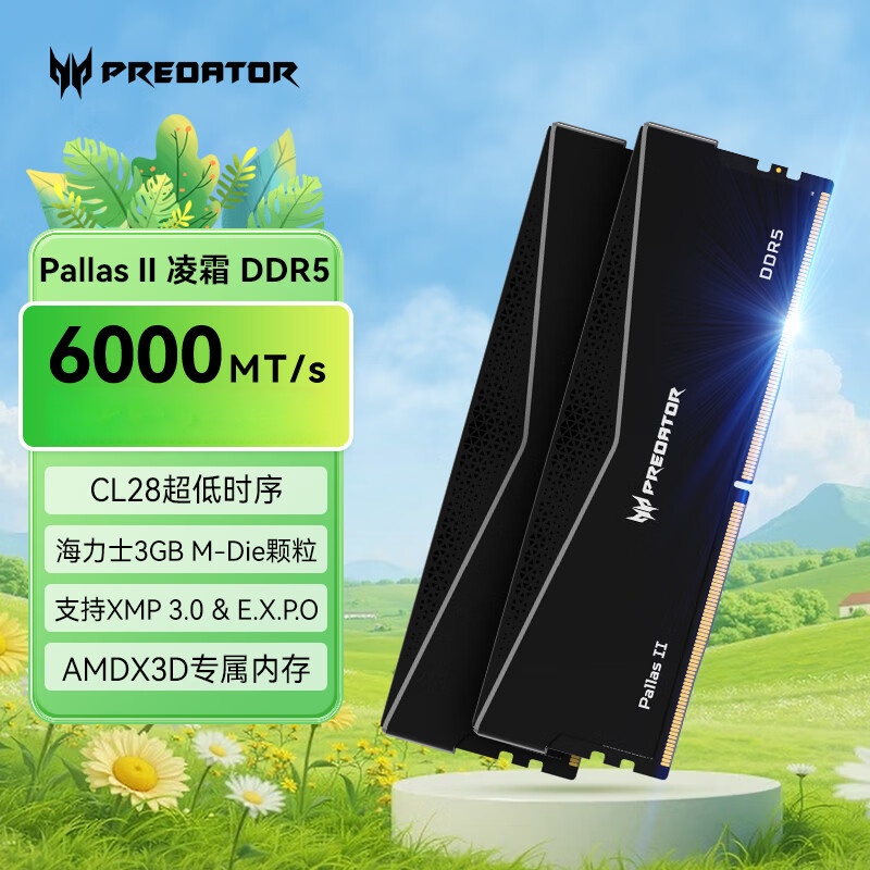 宏碁掠夺者（PREDATOR）DDR5 台式机内存条 PALLAS II凌霜系列 台式机电脑配件  6000频率 C28 Mdie凌霜黑 96GB 2条套条 48*2