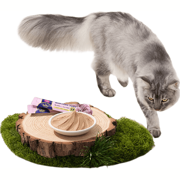 麦富迪barf主食猫条 猫湿粮包零食霸弗生骨肉成猫幼猫通用罐头 混合口味|14g*60支