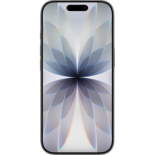 Apple/ƻ�� iPhone 17 �ֻ� ˫��˫�� ��ɫ 256G