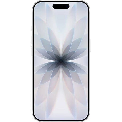 Apple/ƻ�� iPhone 17 �ֻ� ˫��˫�� ��ɫ 256G 4897Ԫ