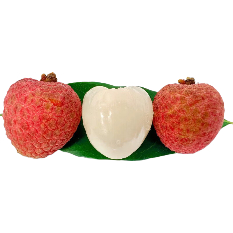 ���ڲ�������ϲ���ʲ���ժ�ַ���֦���ʹ���ˮ�����ʵ����ش��ʹ����� ��С��12-15g�����Ϲ�����֦ ��ʵ�ݳ��ʡ��ϻ���ح����1�� 19.89Ԫ