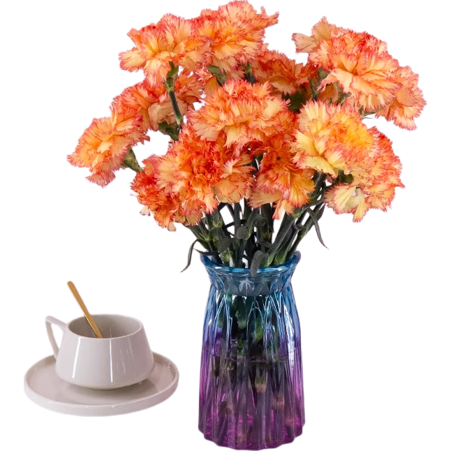 3-8妇女节随机色康乃馨10枝女神节鲜花生活鲜花昆明鲜花直发2 随机色康乃馨10枝